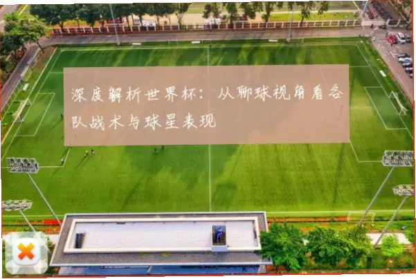 世界杯视频分析：球队战术与球员表现技巧